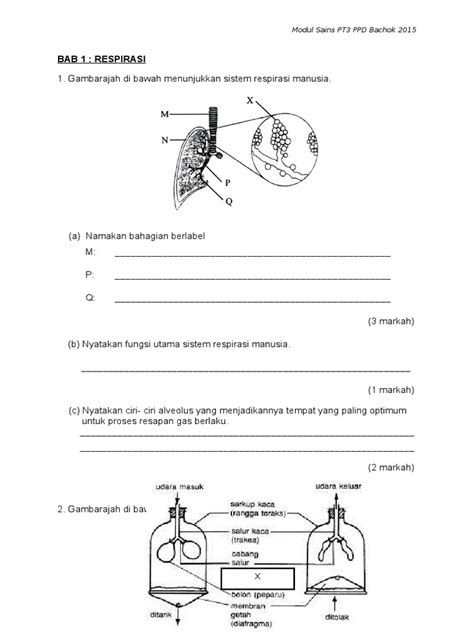 Soalan Latihan Bab 7 Sains Tingkatan 3 Image