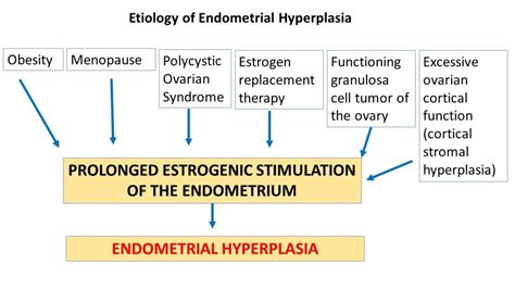 What Causes Cystic Endometrial Hyperplasia